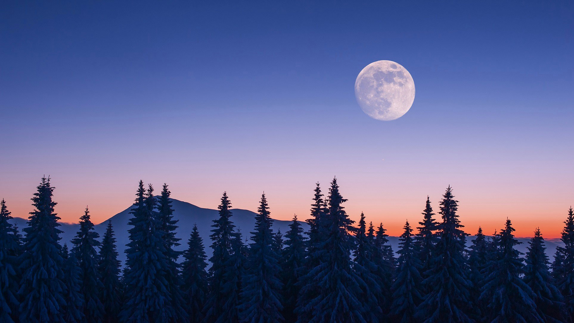 Tygodniowa prognoza astrologiczna 19-25 lutego 2024