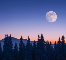Tygodniowa prognoza astrologiczna 19-25 lutego 2024