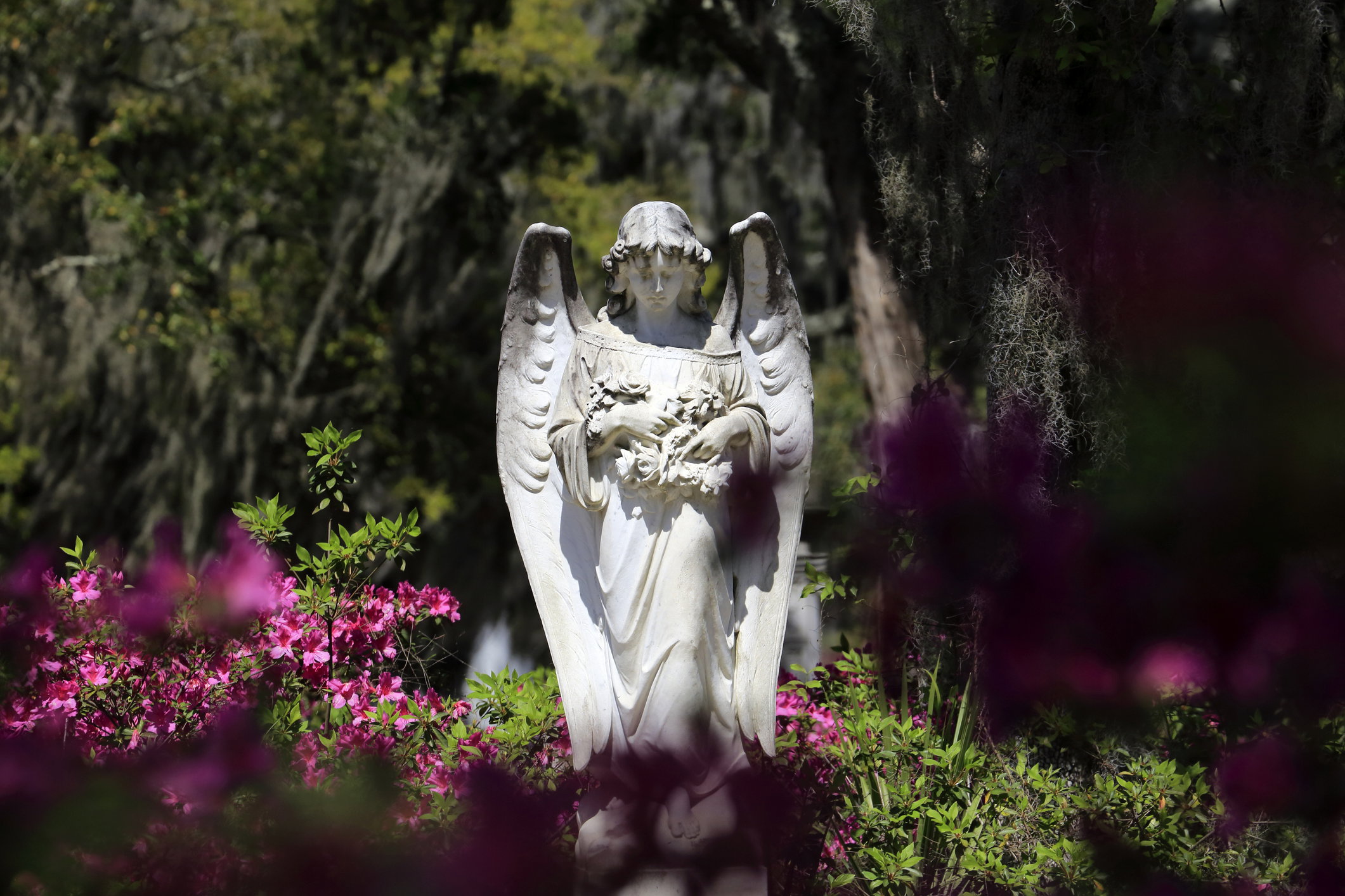 Horoskop anielski tygodniowy na 25.02-02