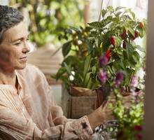 Nie rób tego do końca lutego