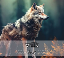 sennik wilk