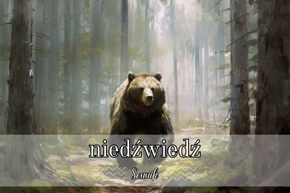 Sennik niedźwiedź