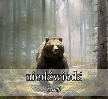 Sennik niedźwiedź