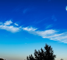 Tygodniowa prognoza astrologiczna 5-11 lutego 2024