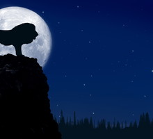 Horoskop na pełnię Księżyca w Lwie 25 stycznia 2024