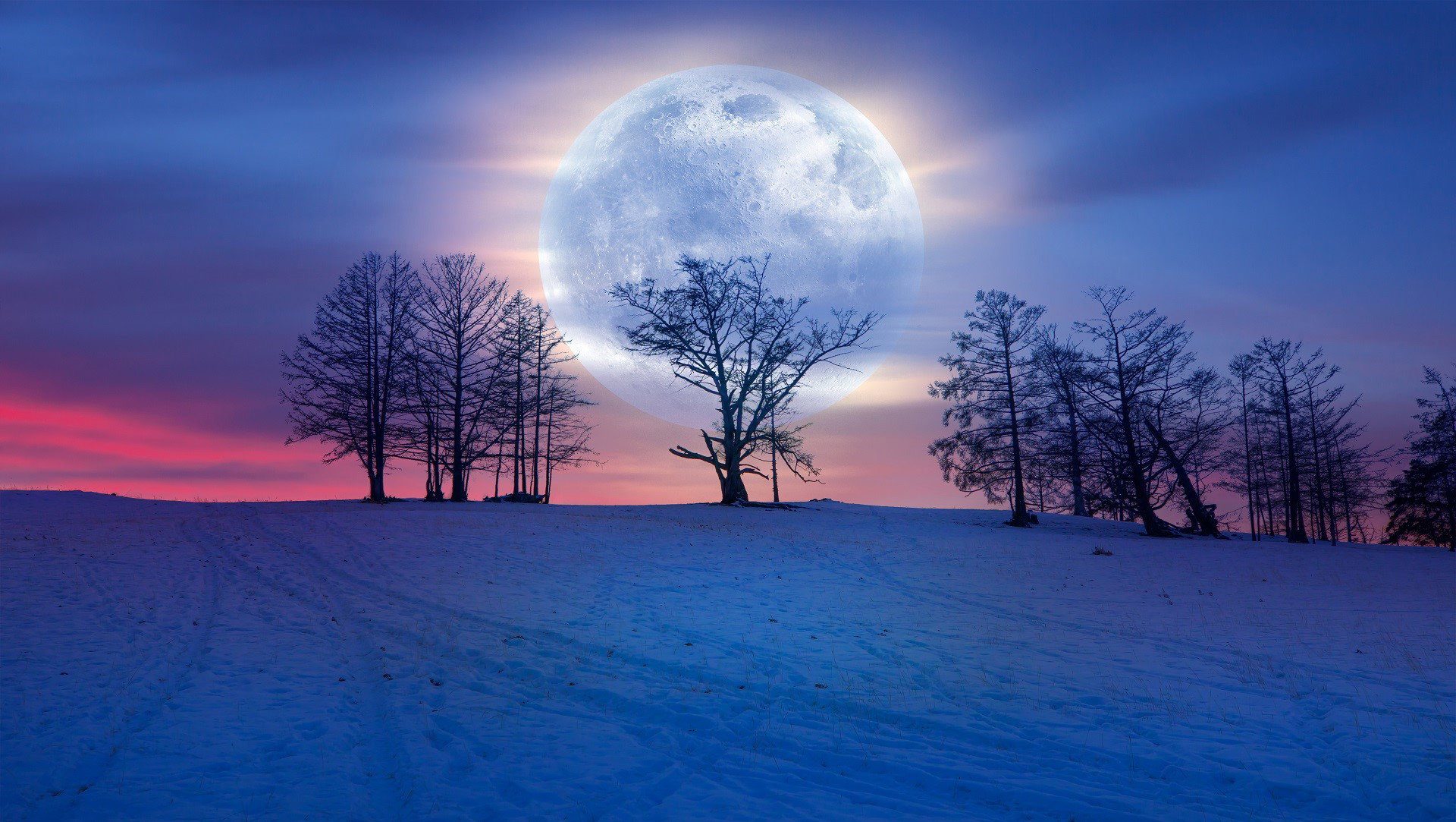 Wielka prognoza astrologiczna na luty 2024