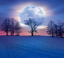 Wielka prognoza astrologiczna na luty 2024