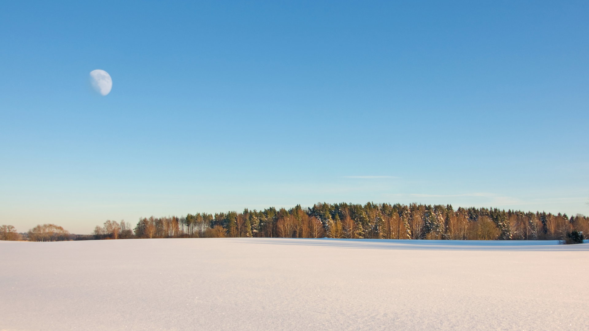 Prognoza astrologiczna 15-21 stycznia 2024