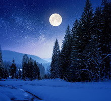 Tygodniowa prognoza astrologiczna 22-28 stycznia 2024