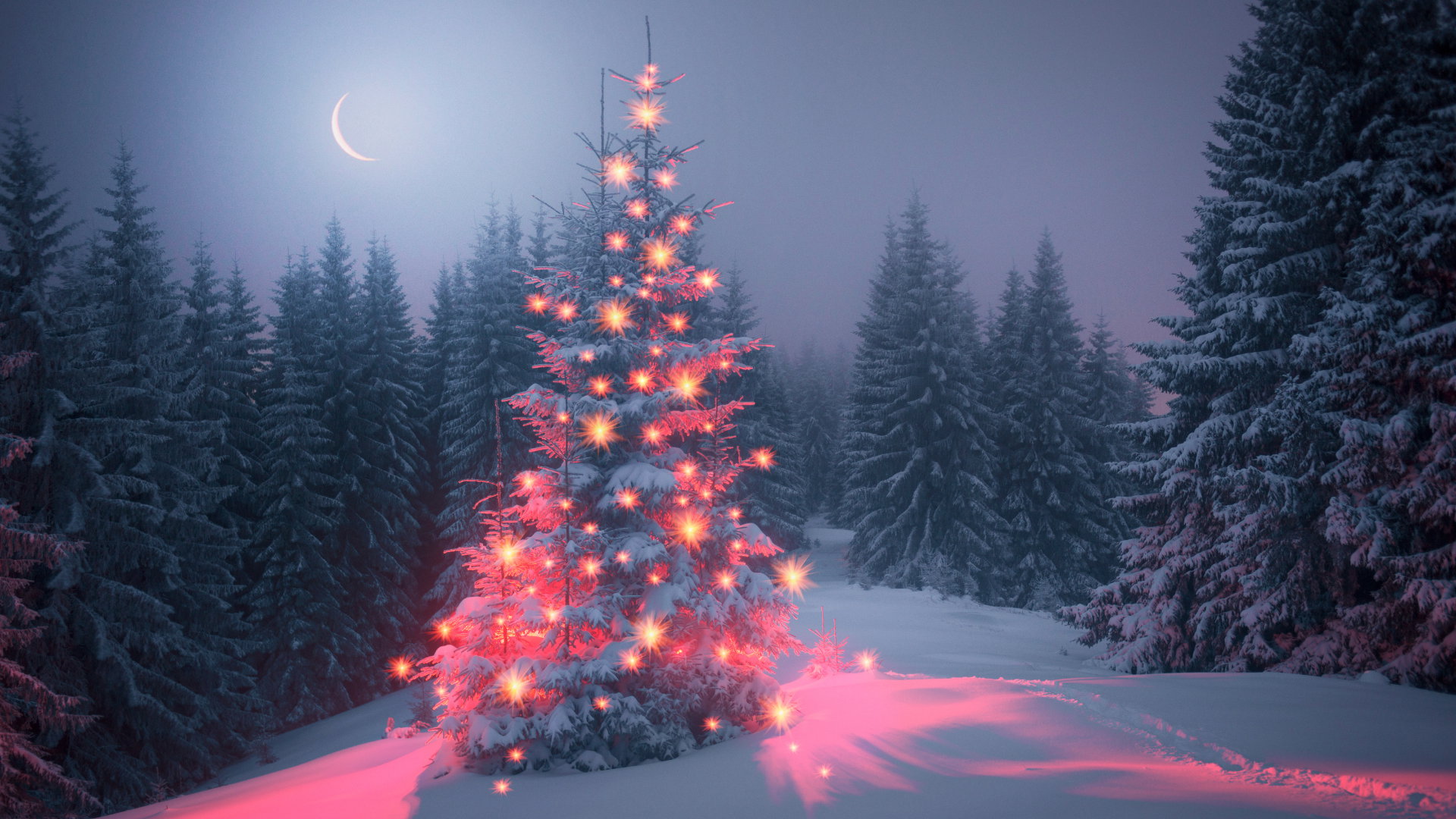 Prognoza astrologiczna 8-14 stycznia 2024