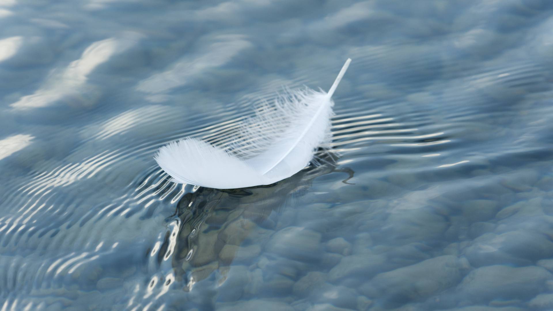 Ujawniono imiona 7 osób, które w styczniu otrzymają anielskie wsparcie