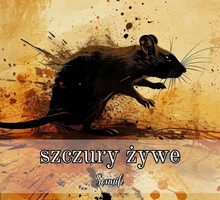 Sennik szczury żywe