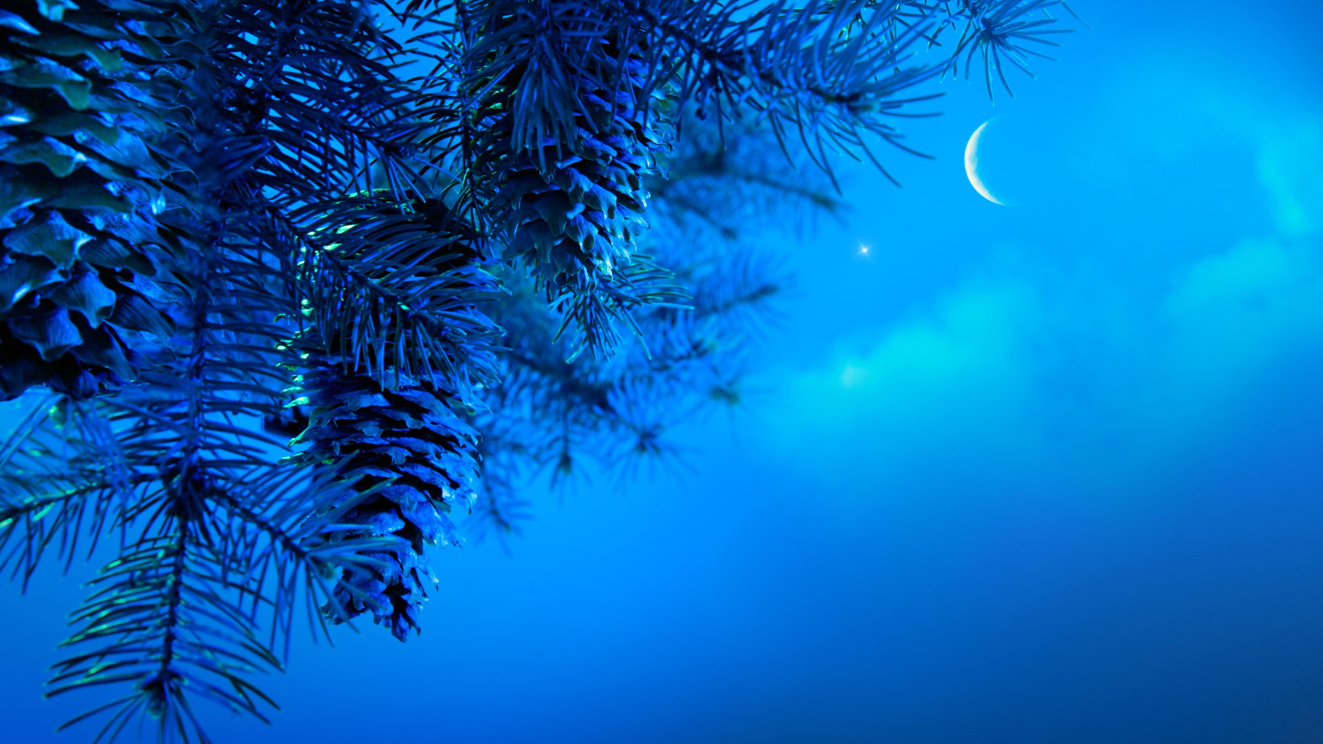 Horoskop na nów Księżyca w Koziorożcu 11 stycznia 2024