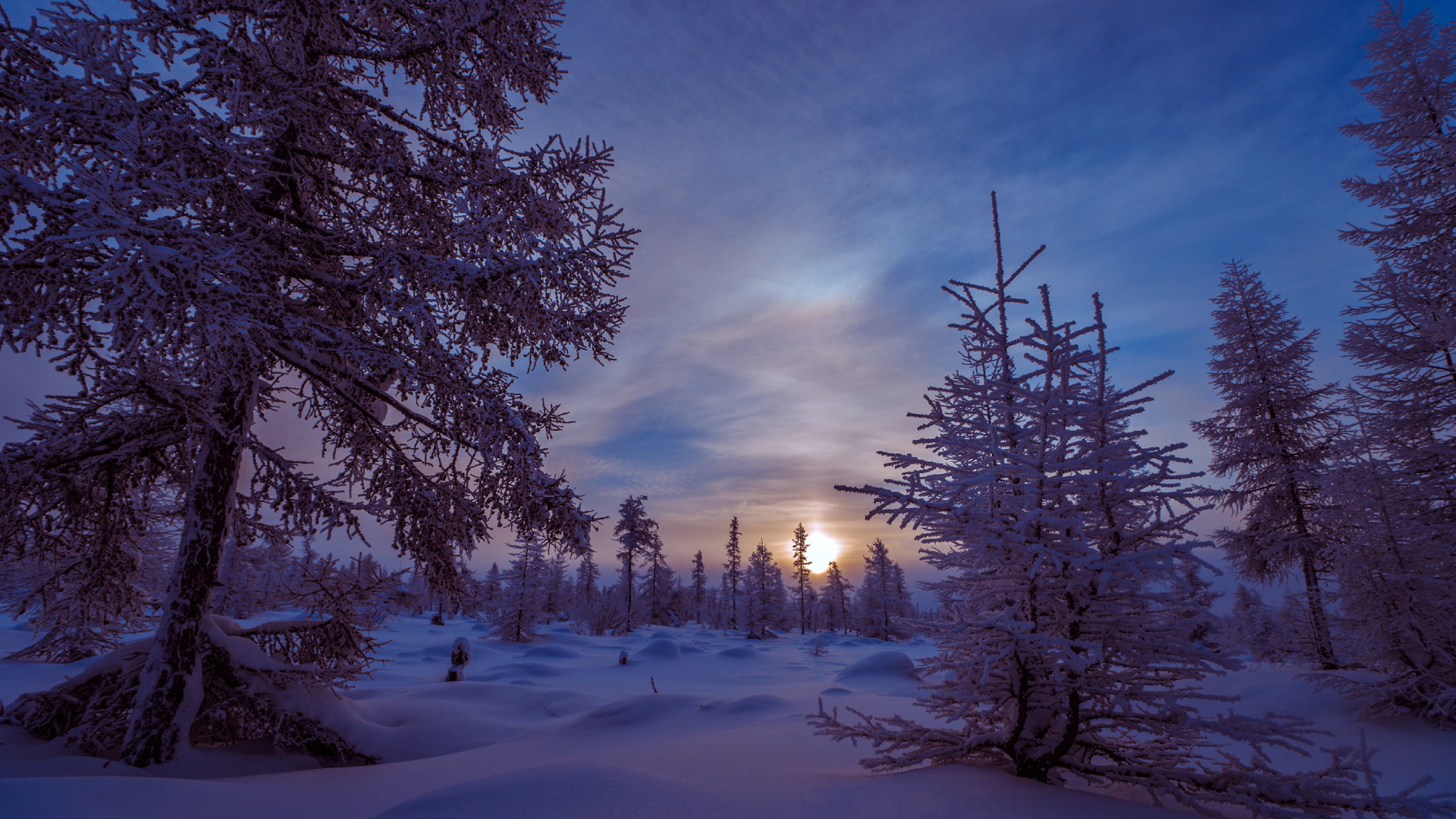 Prognoza astrologiczna 1-7 stycznia 2024