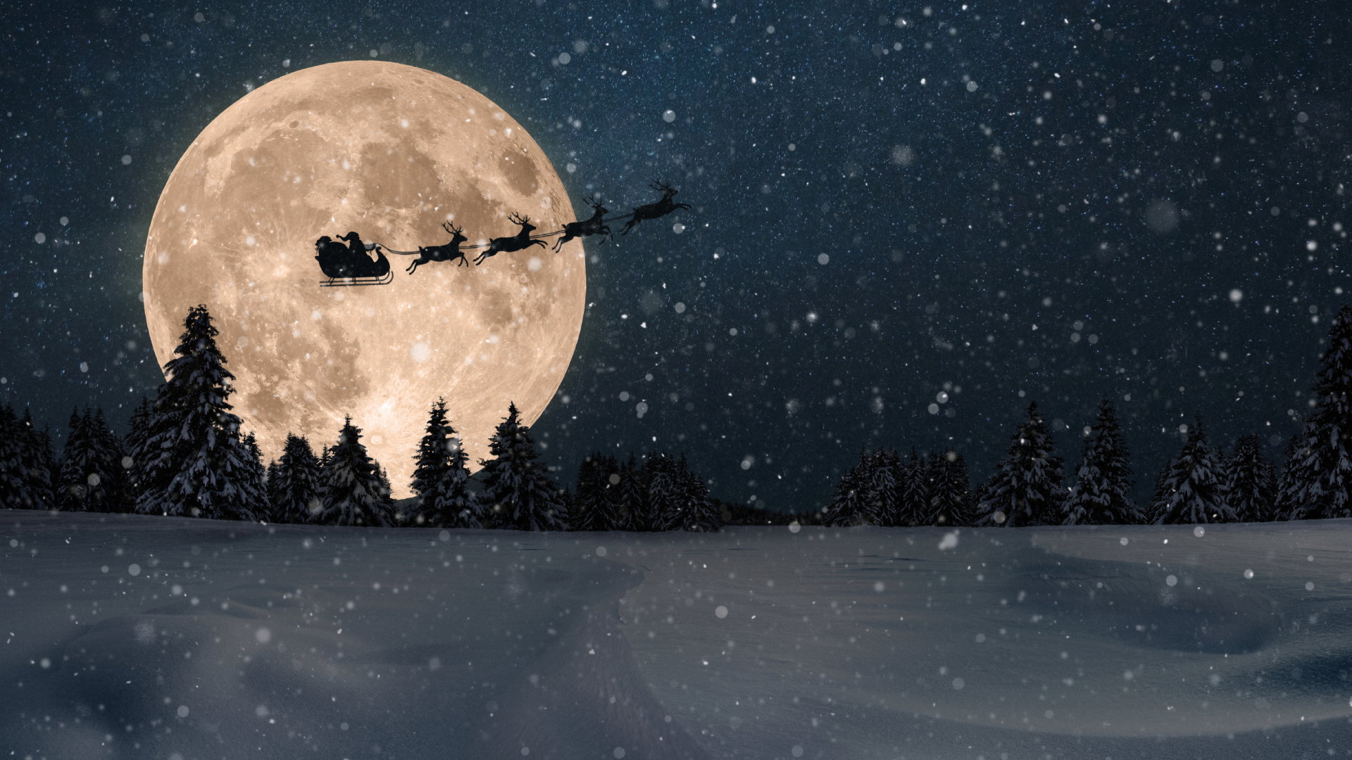 Prognoza astrologiczna 25-31 grudnia 2023