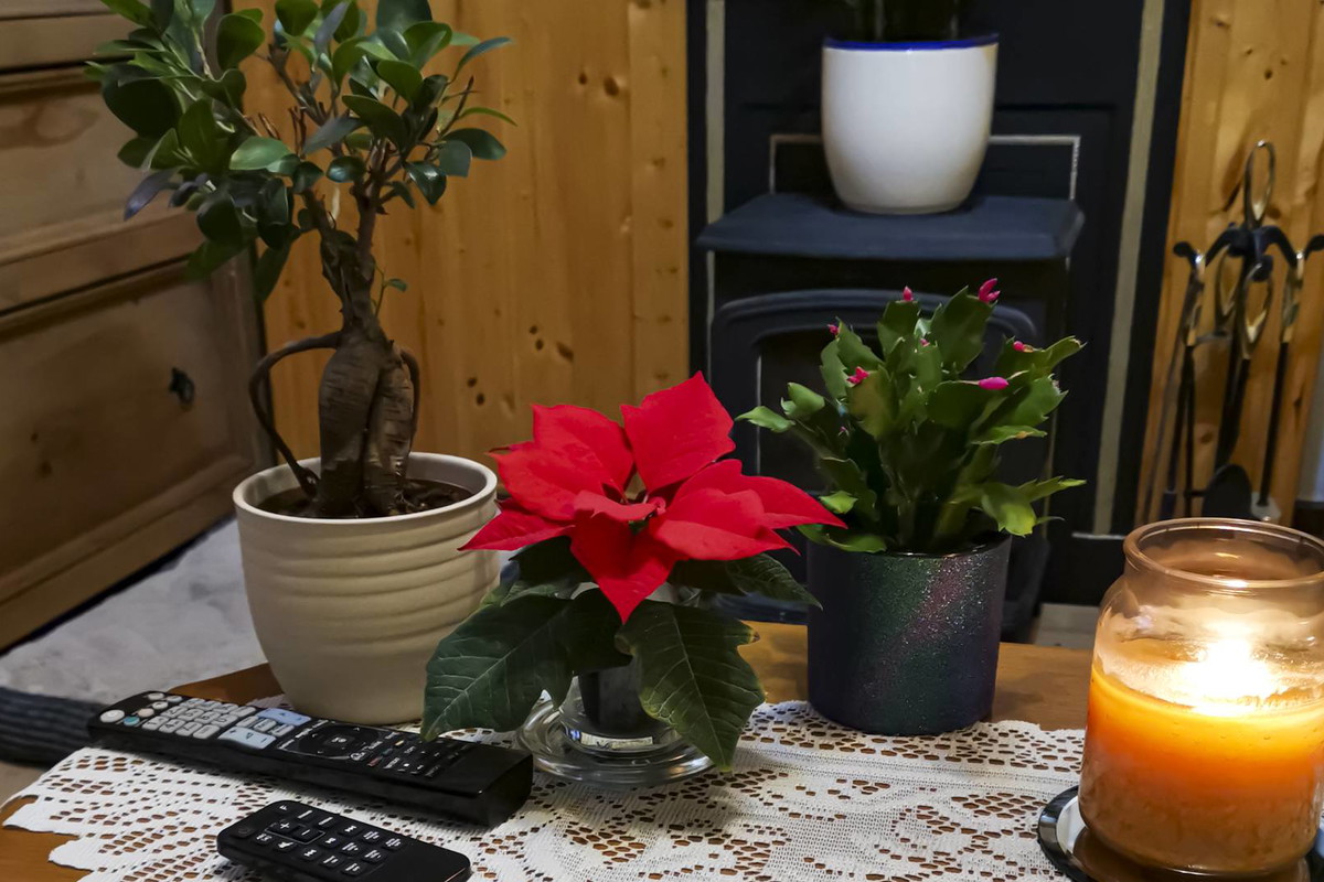 Grudnik wskaże, co czeka nas w 2024