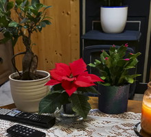 Grudnik wskaże, co czeka nas w 2024