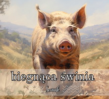 Sennik biegnąca świnia