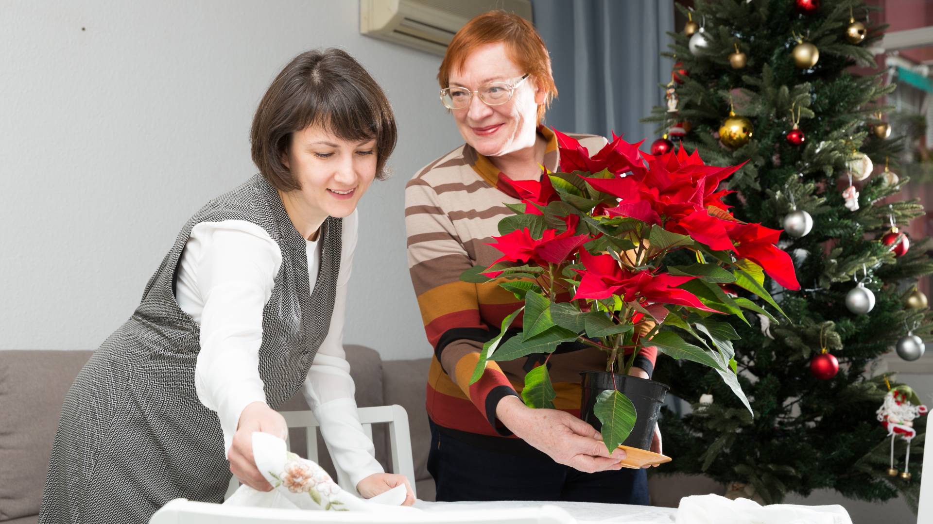 Gwiazda betlejemska przyciąga szczęście i miłość. Ale tylko pod 1 warunkiem