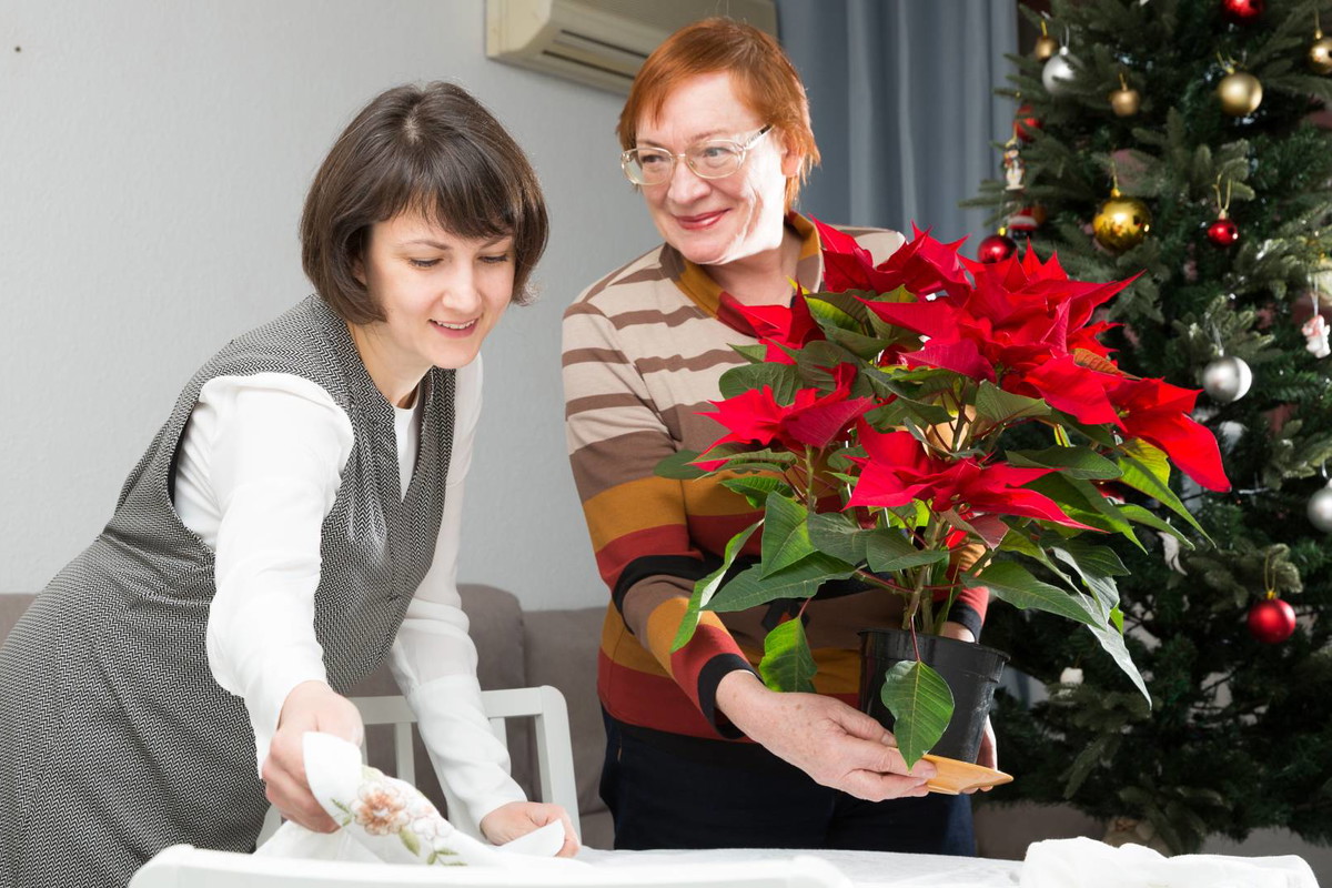 Gwiazda betlejemska przyciąga szczęście i miłość. Ale tylko pod 1 warunkiem