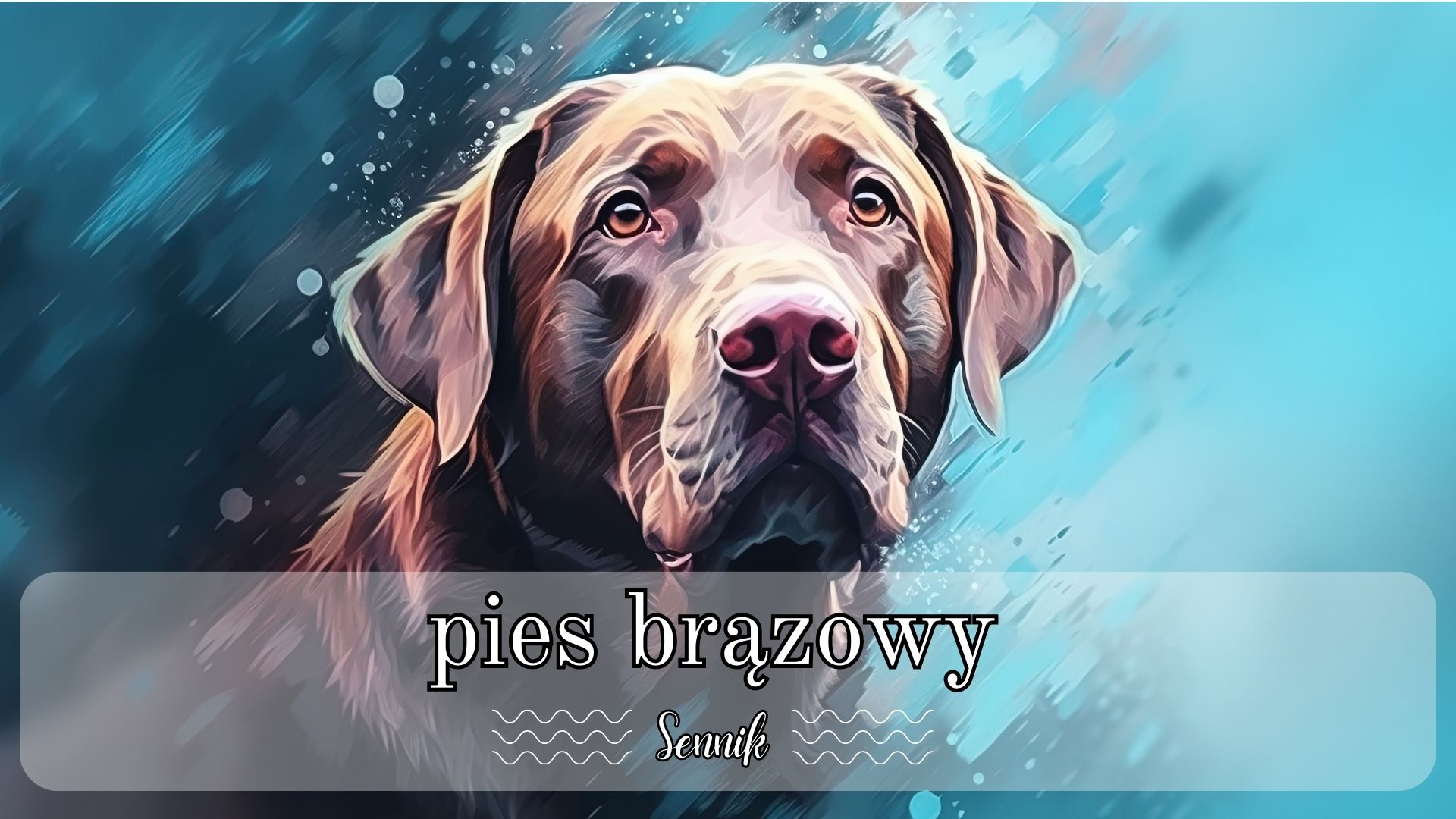 Sennik pies brązowy