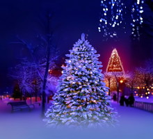 Horoskop na nów Księżyca w Strzelcu 12 grudnia 2023