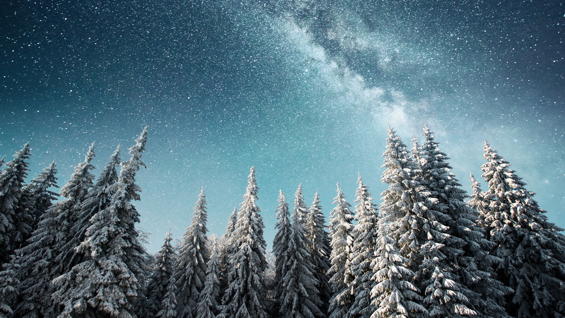 Prognoza astrologiczna 11-17 grudnia 2023