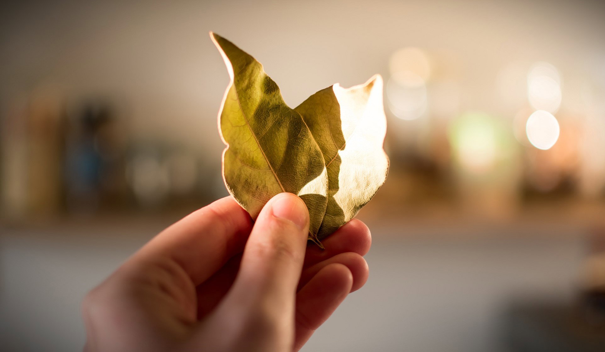 Liść laurowy w andrzejki czyni cuda w miłości. Dodaj go do znanej wróżby