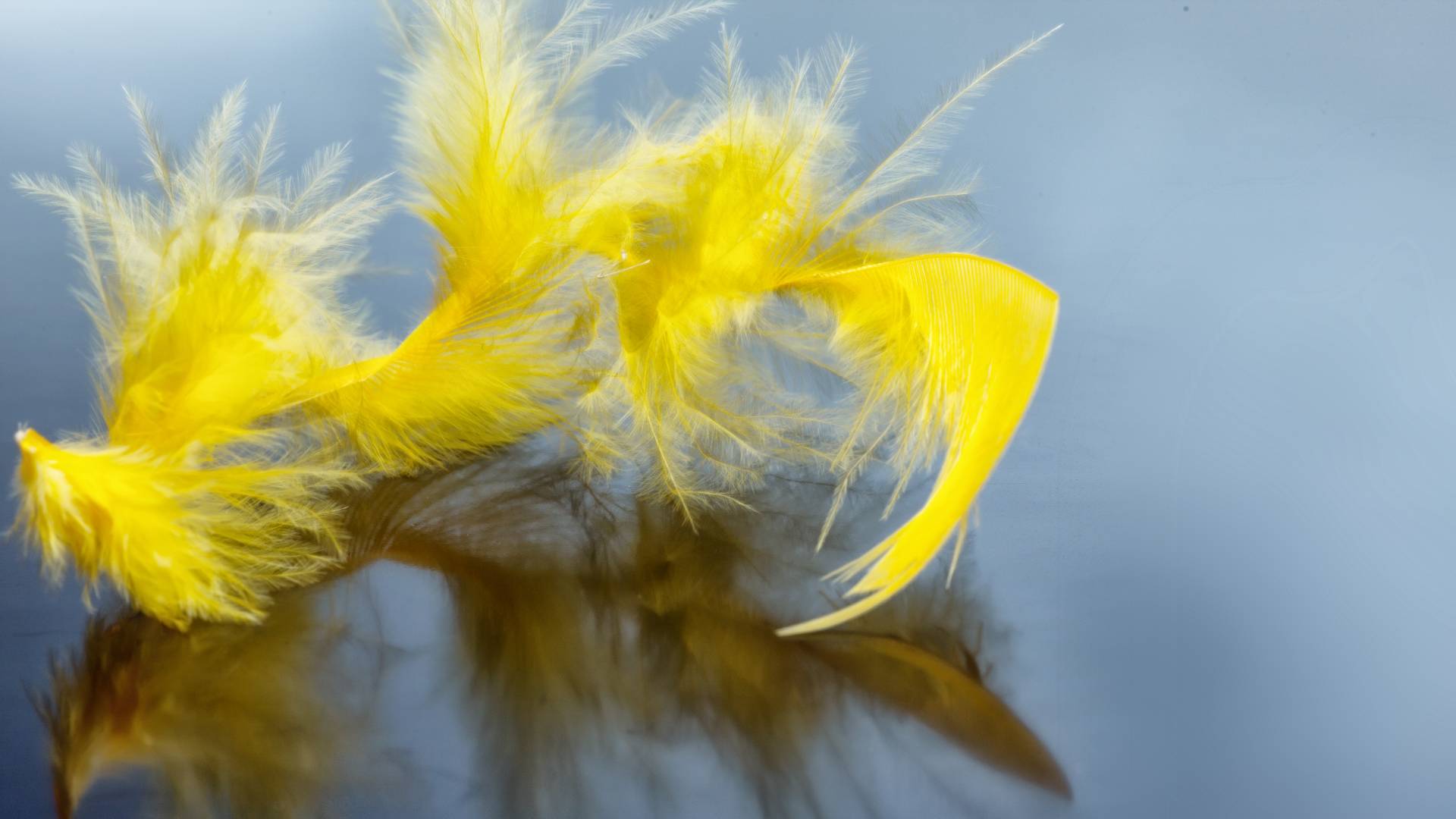 Rytuał Złotego Pióra na udany weekend