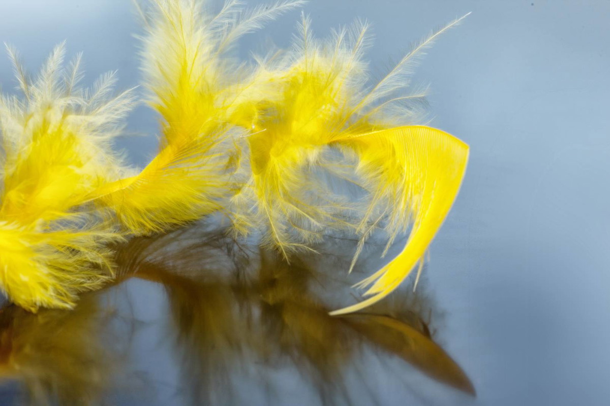 Rytuał Złotego Pióra na udany weekend