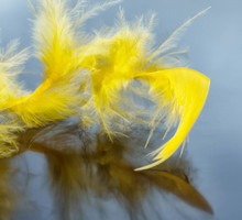 Rytuał Złotego Pióra na udany weekend