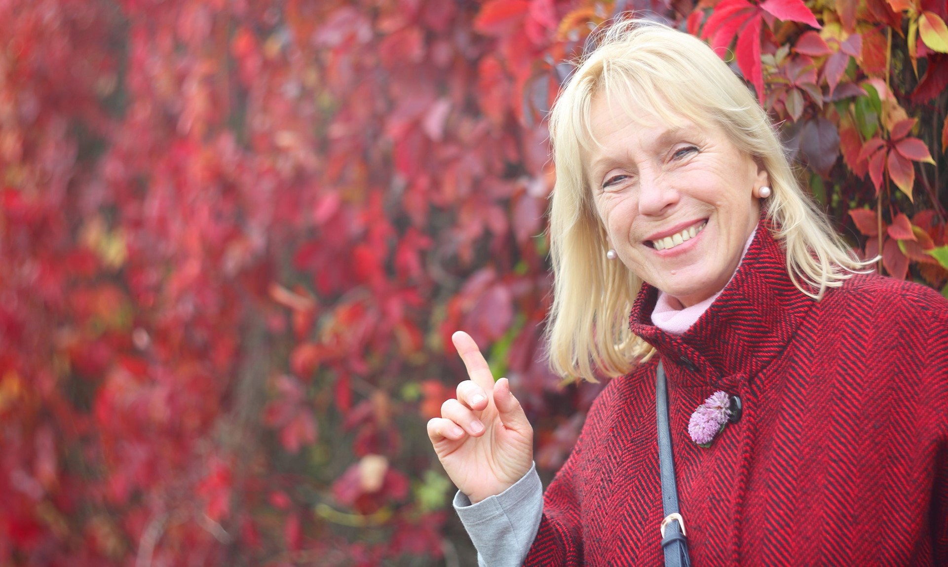 25 listopada los spełni twoje życzenie. Uwaga, działa tylko w 1 kwestii