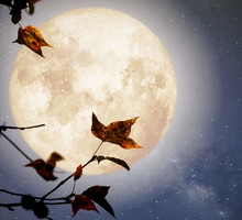 Horoskop na pełnię Księżyca w Bliźniętach 27 listopada 2023