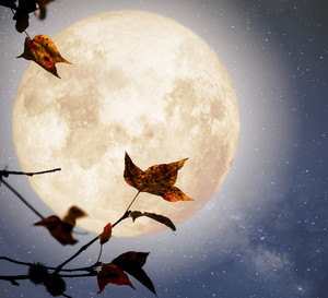 Horoskop na pełnię Księżyca w Bliźniętach 27 listopada 2023