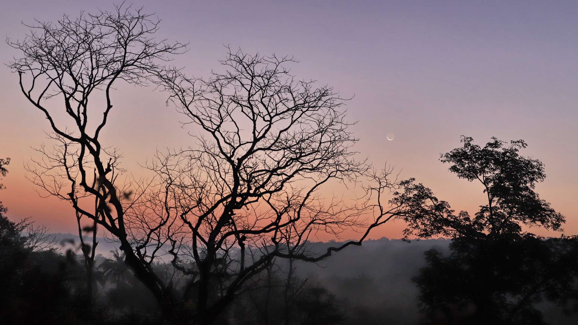 Horoskop na nów Księżyca w Skorpionie 13 listopada 2023