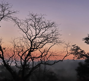 Horoskop na nów Księżyca w Skorpionie 13 listopada 2023