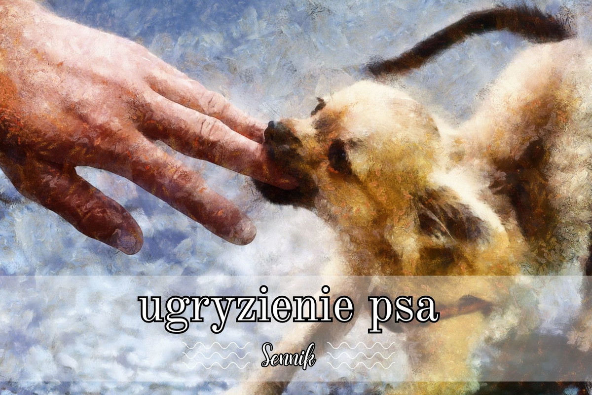 Sennik ugryzienie psa