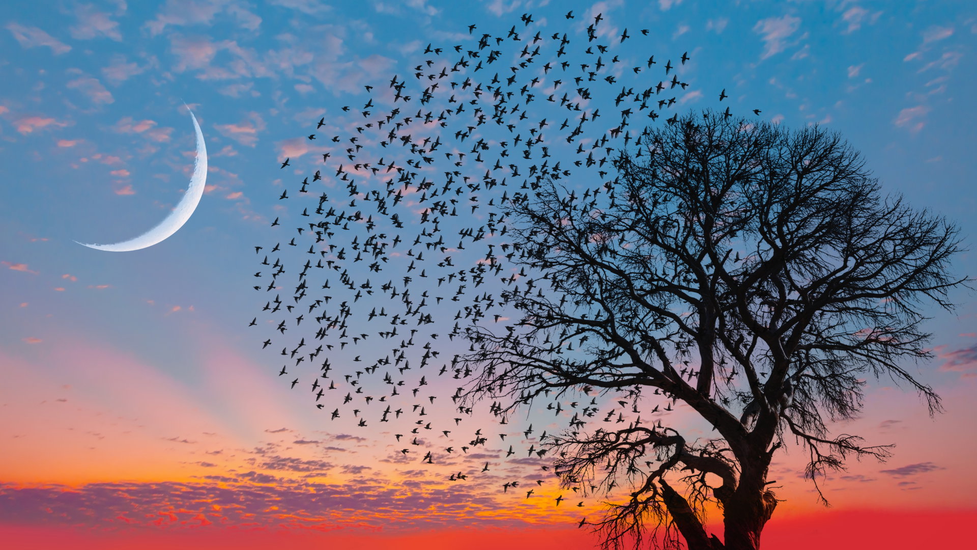 Tygodniowa prognoza astrologiczna 13-19 listopada 2023