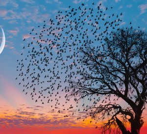 Tygodniowa prognoza astrologiczna 13-19 listopada 2023