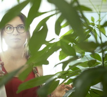 Pachira wodna przyciąga dostatek i zapewnia harmonię