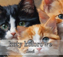 Sennik koty kolorowe