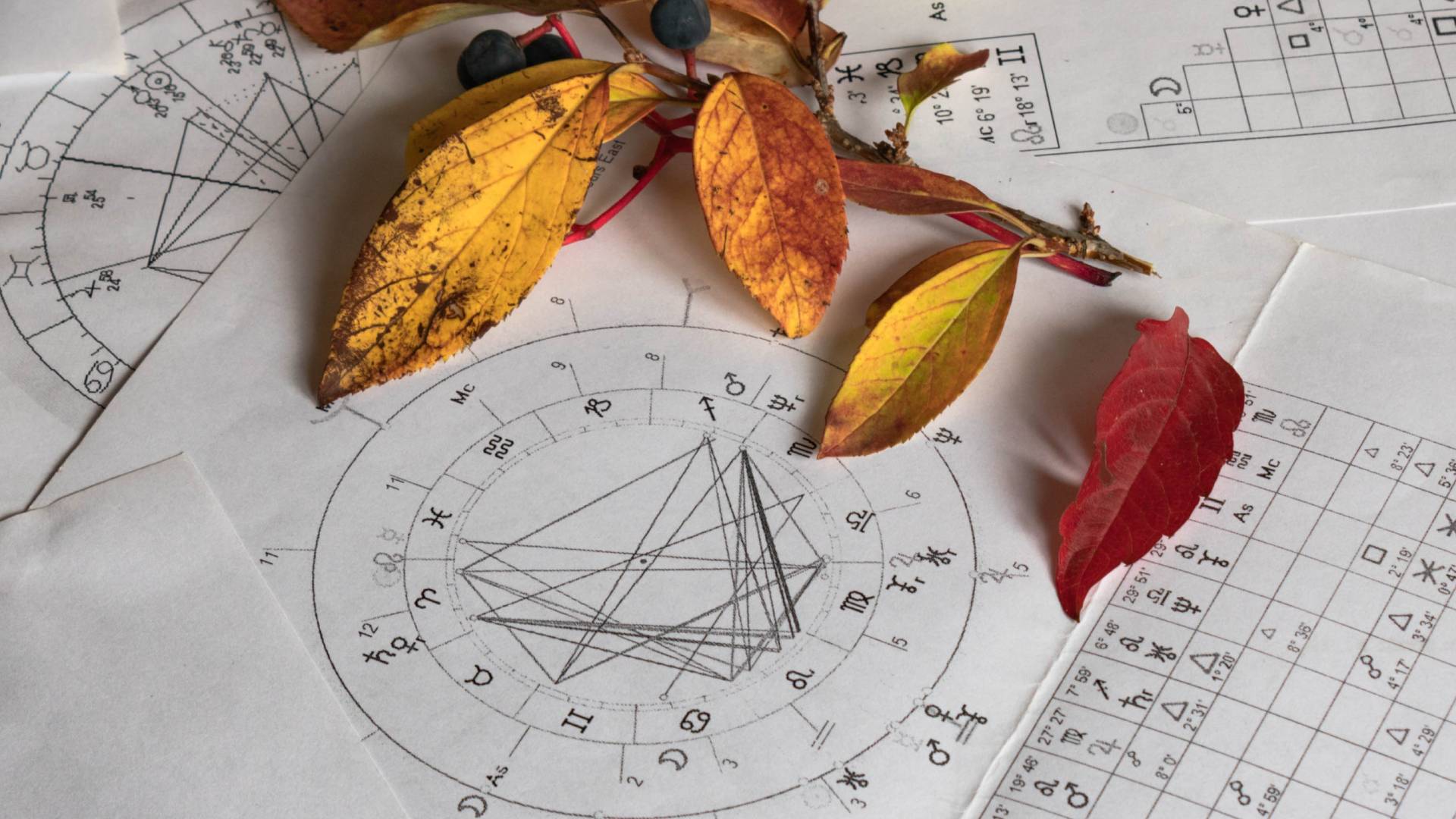 Horoskop tygodniowy 13-19