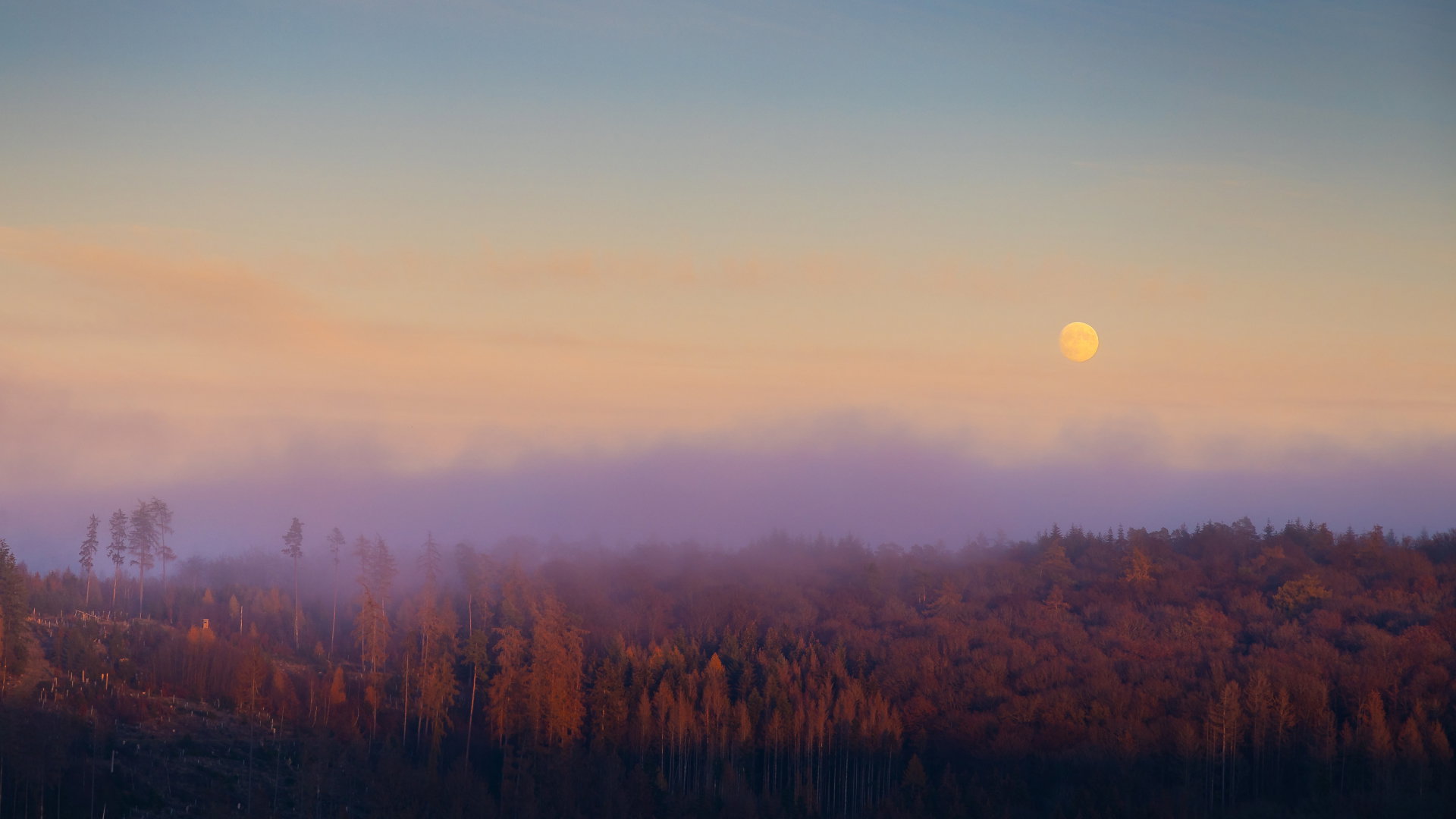 Prognoza astrologiczna na listopad 2023