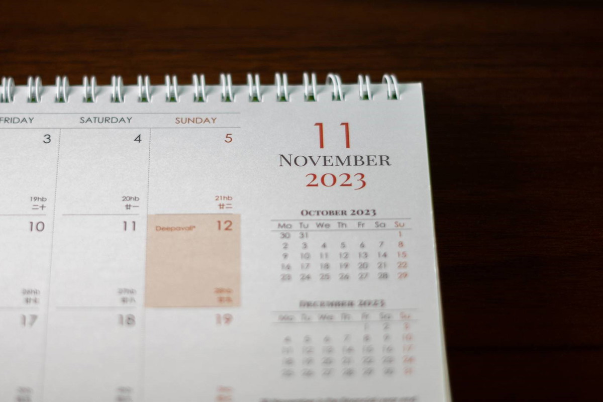 Ludowa wróżba z gęsiej kości na św.