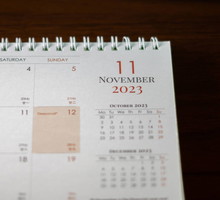 Ludowa wróżba z gęsiej kości na św.