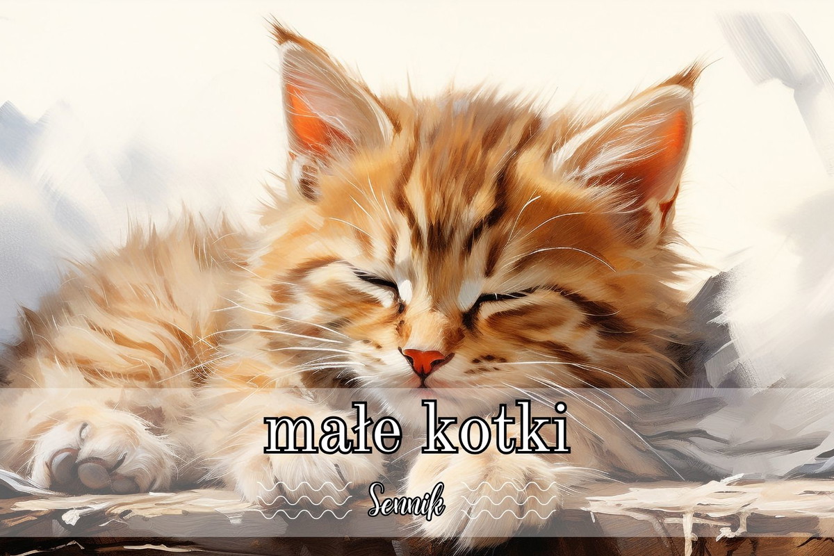 Sennik małe kotki