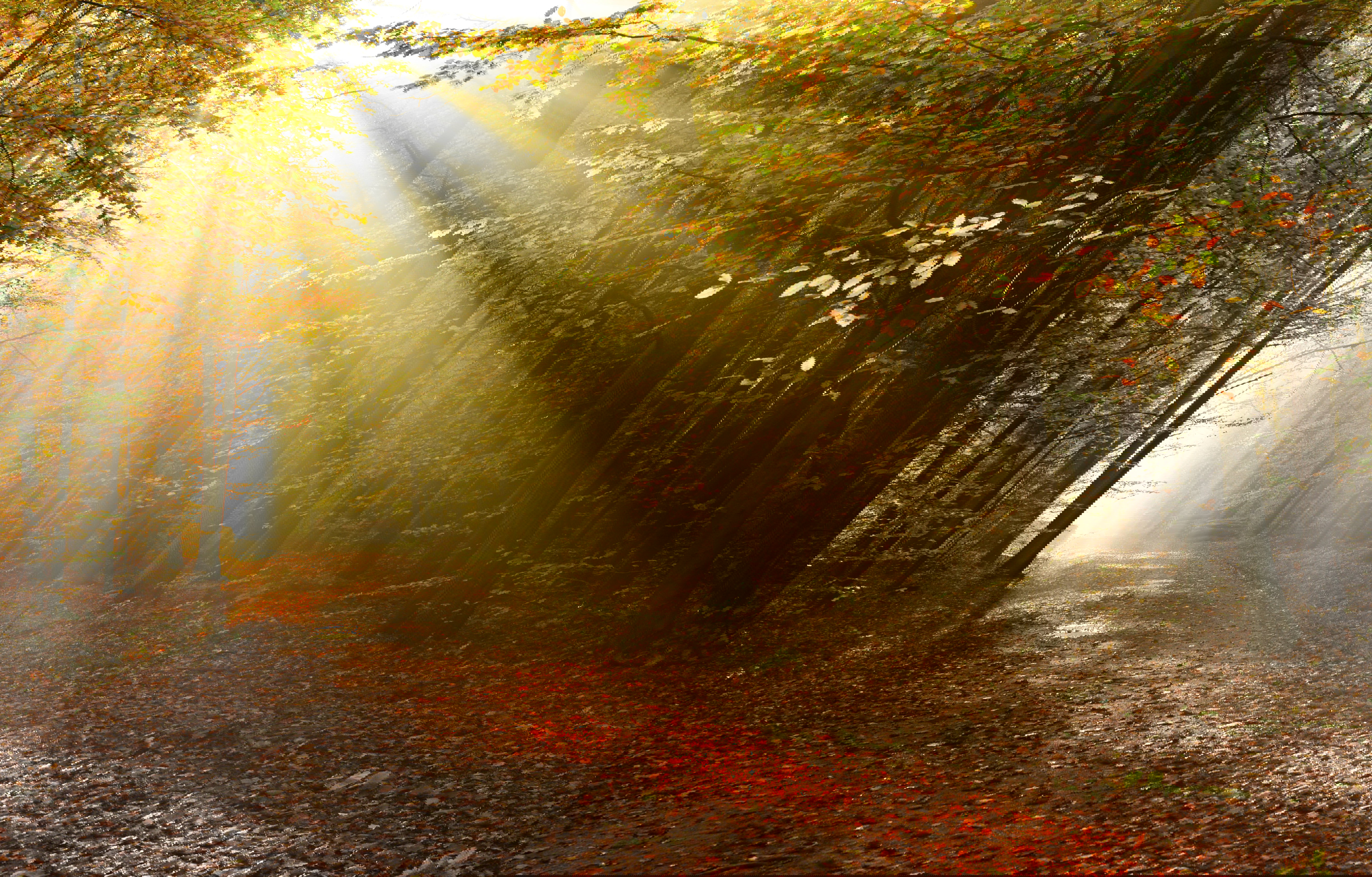 Rytuał Złotej Łuny na zmianę czasu