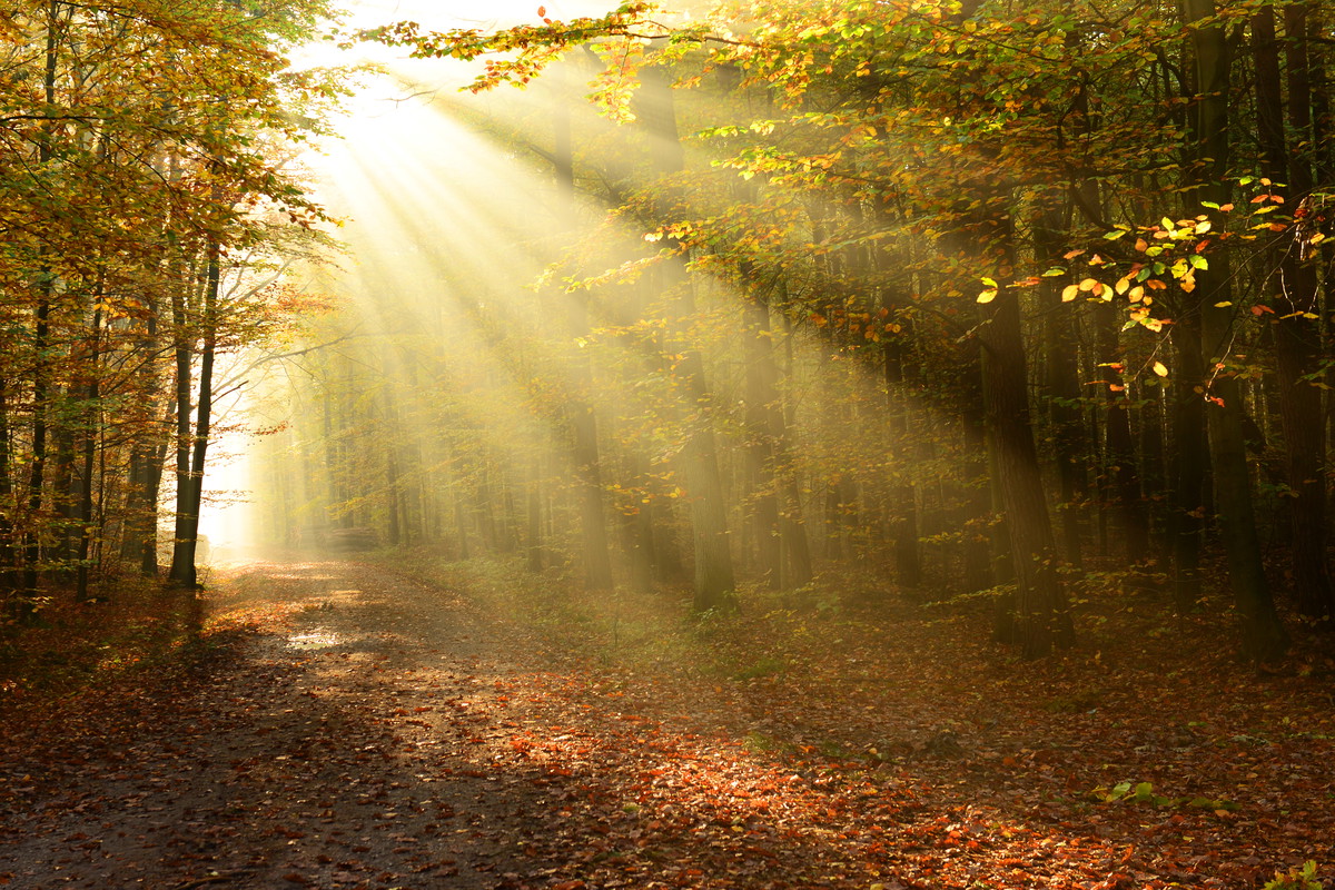 Rytuał Złotej Łuny na zmianę czasu