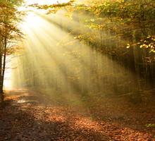 Rytuał Złotej Łuny na zmianę czasu