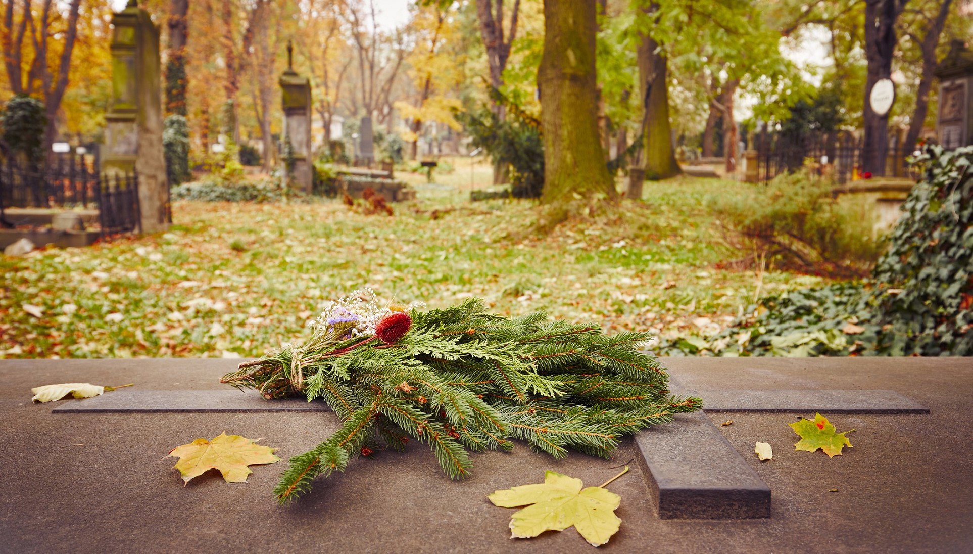 Ta gałązka na grobie symbolizuje wybaczenie. Zadziała lepiej niż stroik na Wszystkich świętych